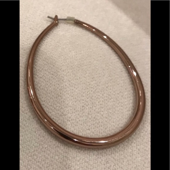 STYLISH FOSSIL ROSE GOLD BRAND NEW SHINY HOOPS! 😍 - Picture 7 of 7